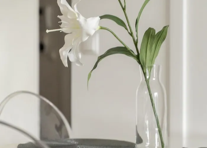 Margi Stella - Luna - Milky Basen Pool Sauna Szczecin